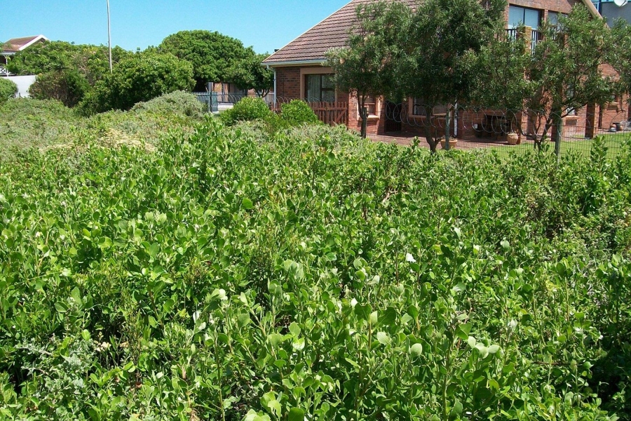 0 Bedroom Property for Sale in Kabeljauws Eastern Cape